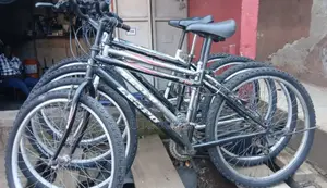 Adult Bikes