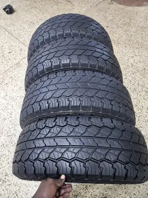 31 10 R15 Rydenz Raptor Ro9 At.