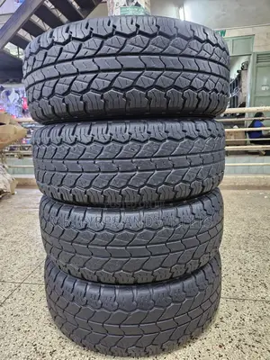 31 10 R15 Rydenz Raptor Ro9 At.