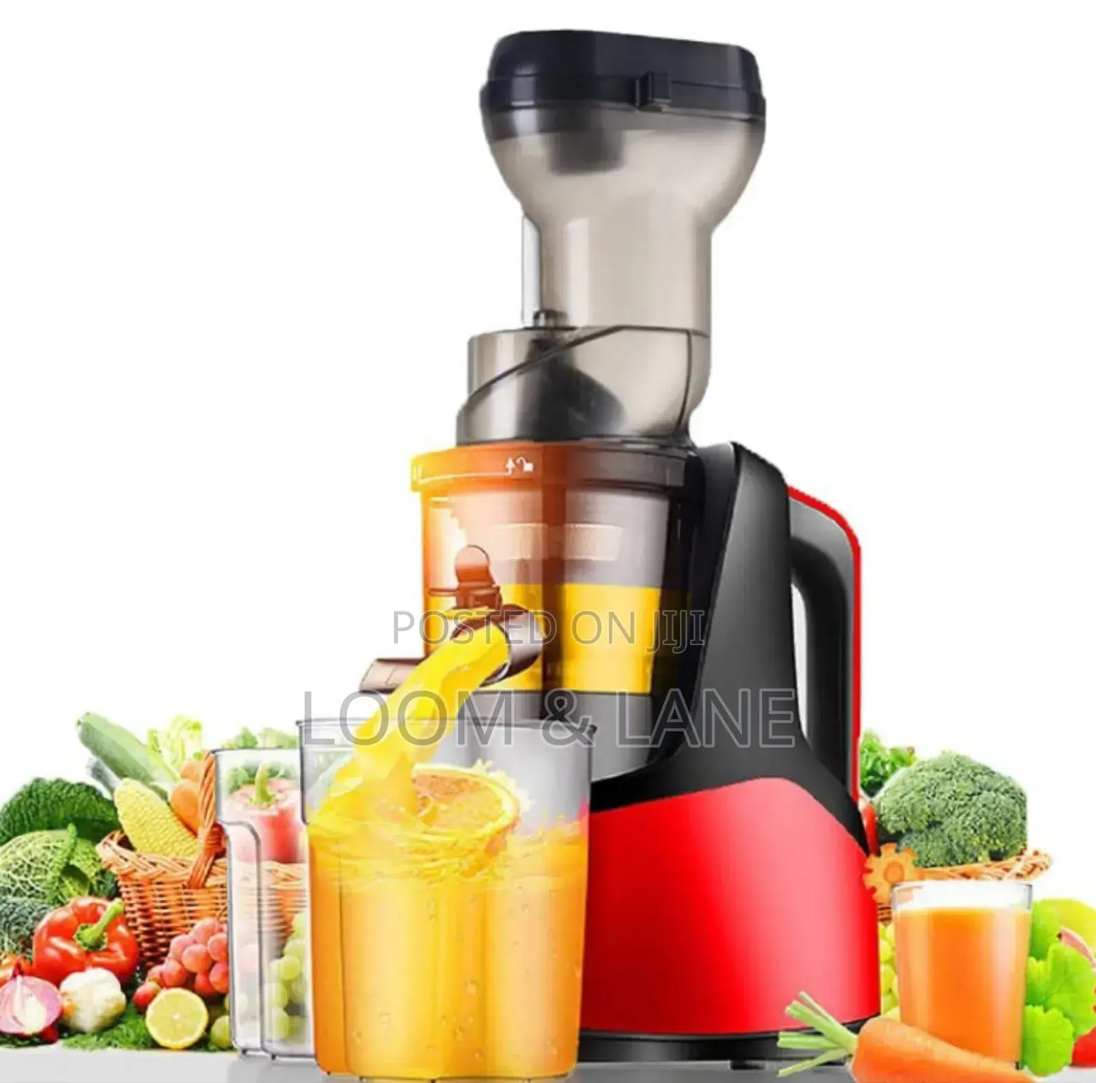 Raf Cold Press Multifunction Juicer