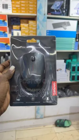 Lenovo 300 Wireless Compact Mouse