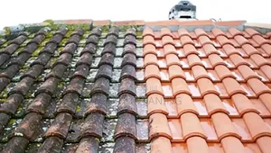 Pavers and Roof Cleaning