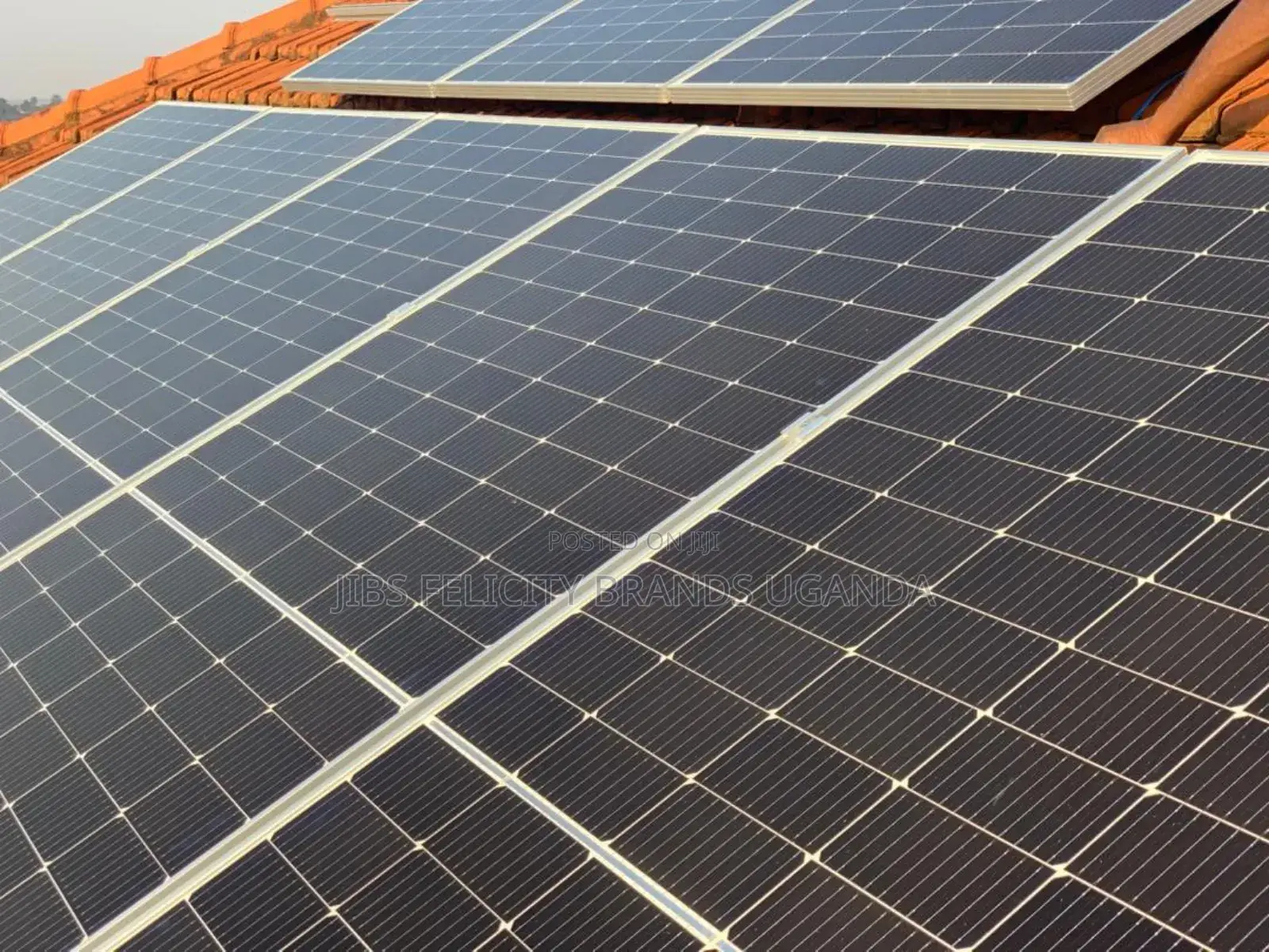 Grade Number 1 559w Felicity Solar Panels
