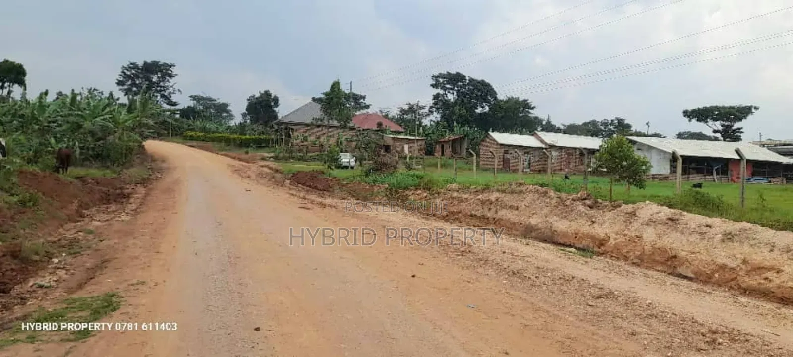 Prime Plots For Sale At Kakiri~Katikamu Land Estate~Hoima Rd