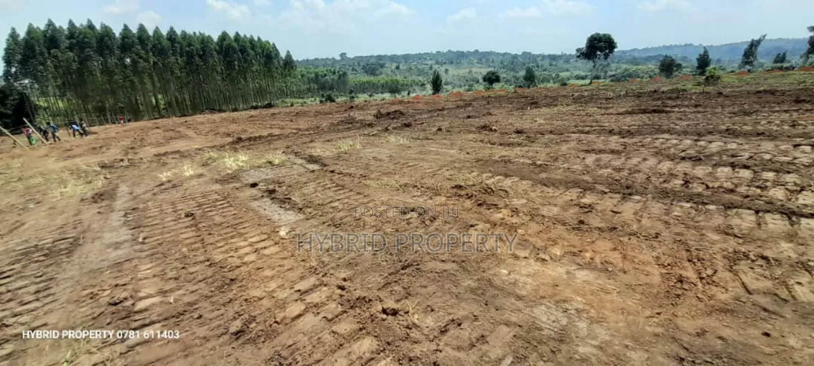 Prime Plots For Sale At Kakiri~Katikamu Land Estate~Hoima Rd