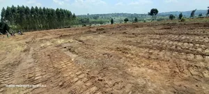 Prime Plots For Sale At Kakiri~Katikamu Land Estate~Hoima Rd