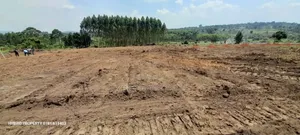 Prime Plots For Sale At Kakiri~Katikamu Land Estate~Hoima Rd