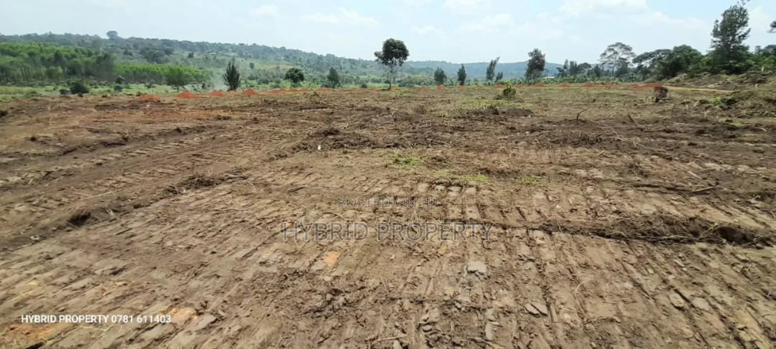 Prime Plots For Sale At Kakiri~Katikamu Land Estate~Hoima Rd