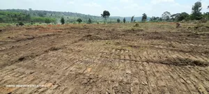 Prime Plots For Sale At Kakiri~Katikamu Land Estate~Hoima Rd