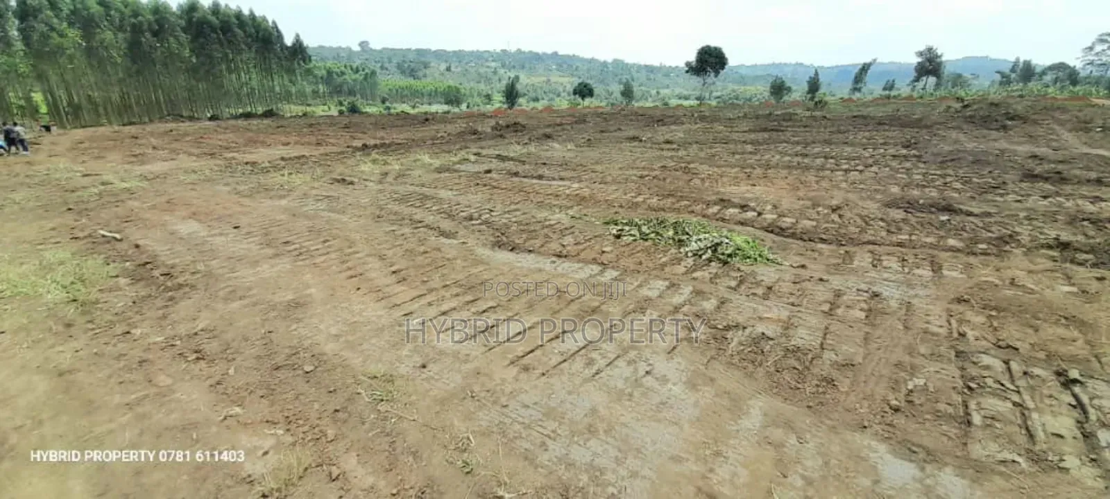 Prime Plots For Sale At Kakiri~Katikamu Land Estate~Hoima Rd