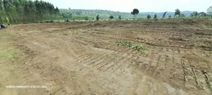 Prime Plots For Sale At Kakiri~Katikamu Land Estate~Hoima Rd