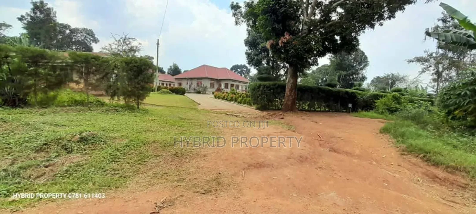 Prime Plots For Sale At Kakiri~Katikamu Land Estate~Hoima Rd