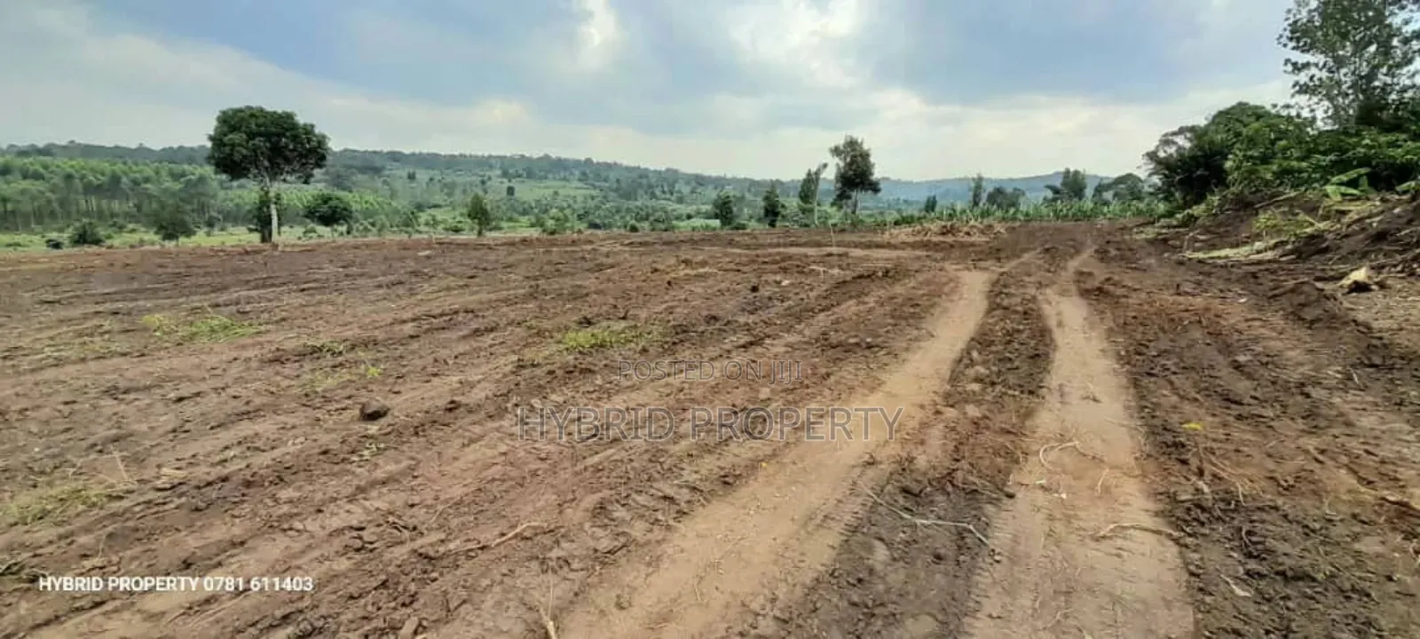 Prime Plots For Sale At Kakiri~Katikamu Land Estate~Hoima Rd