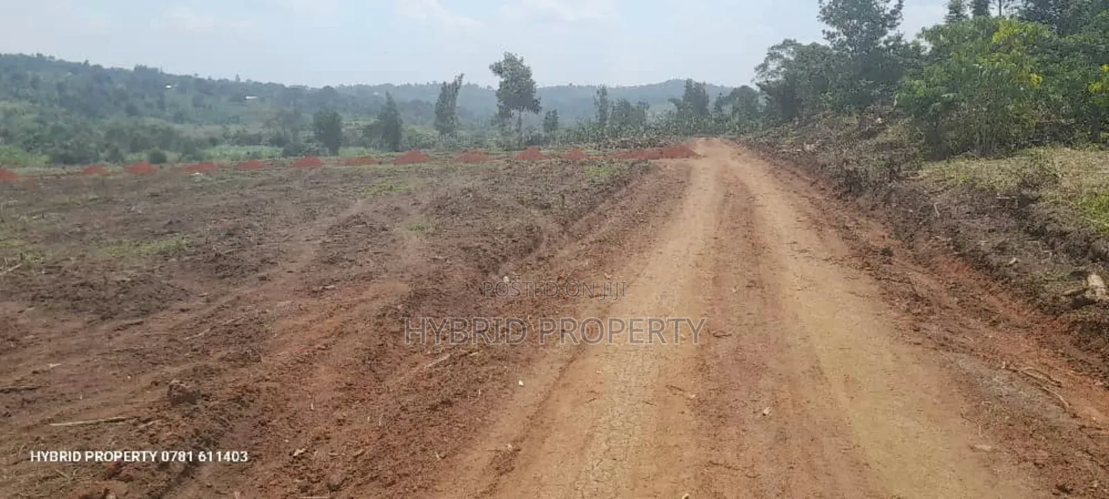 Prime Plots For Sale At Kakiri~Katikamu Land Estate~Hoima Rd