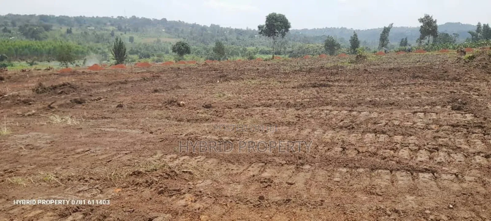 Prime Plots For Sale At Kakiri~Katikamu Land Estate~Hoima Rd