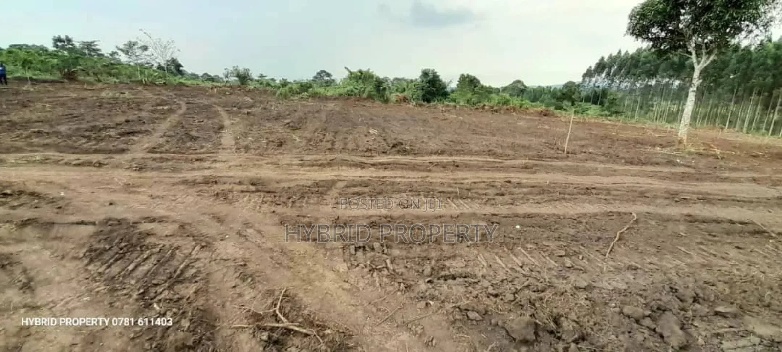 Prime Plots For Sale At Kakiri~Katikamu Land Estate~Hoima Rd