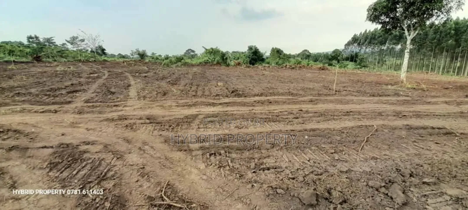 Prime Plots For Sale At Kakiri~Katikamu Land Estate~Hoima Rd