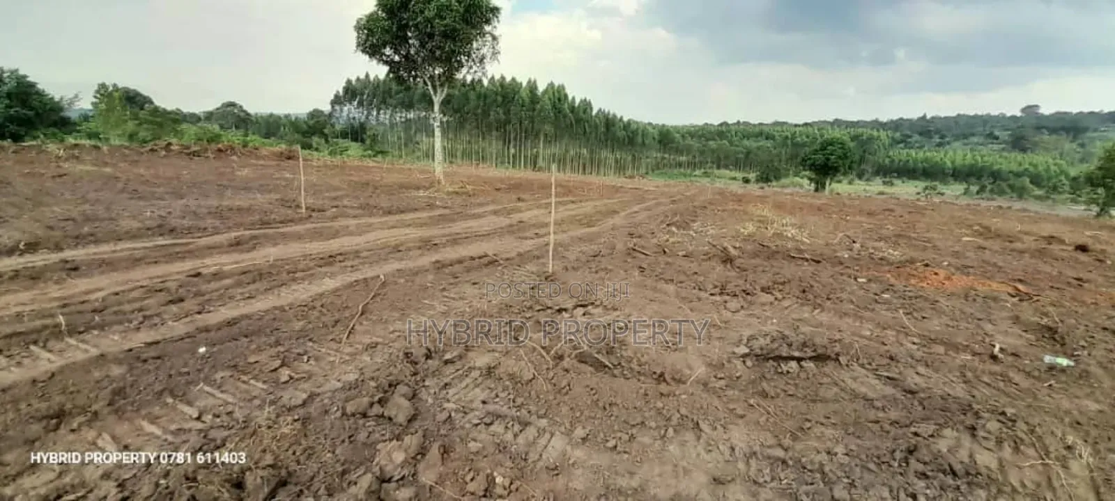 Prime Plots For Sale At Kakiri~Katikamu Land Estate~Hoima Rd