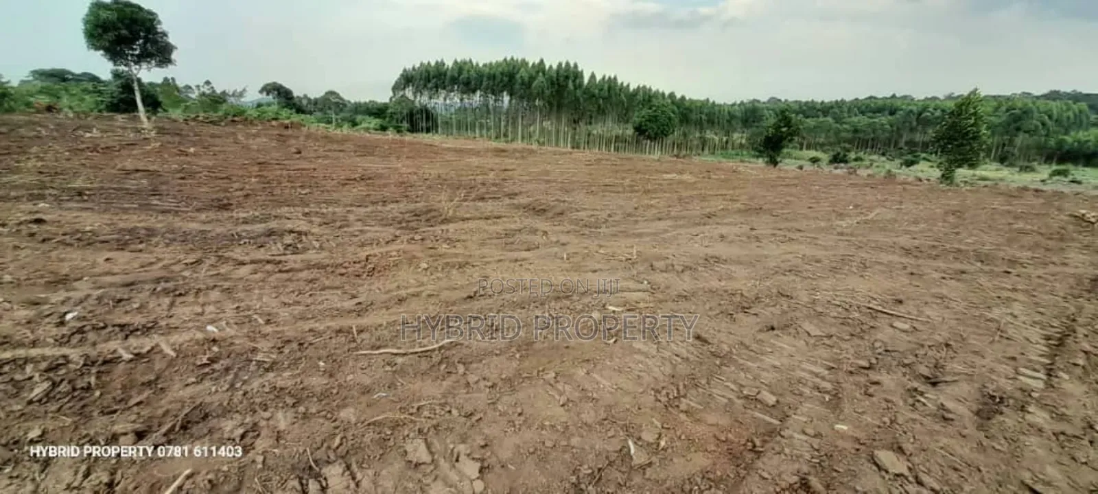 Prime Plots For Sale At Kakiri~Katikamu Land Estate~Hoima Rd