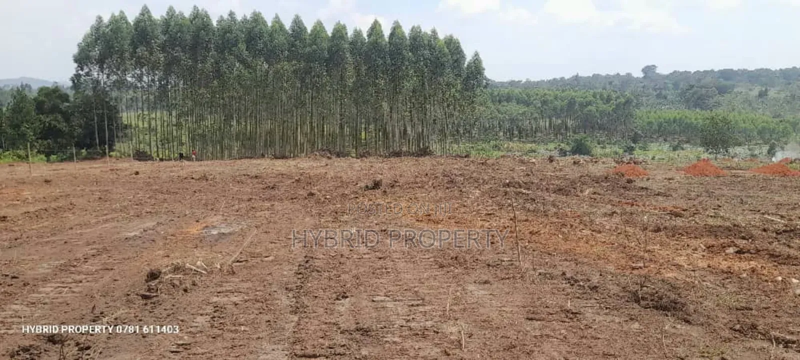 Prime Plots For Sale At Kakiri~Katikamu Land Estate~Hoima Rd