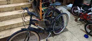 Bicycle Japan 26 A