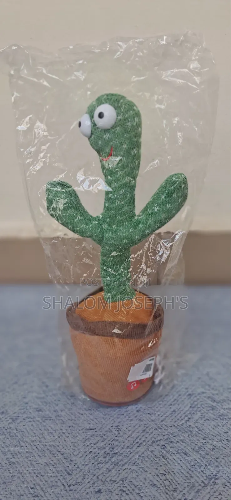 Talking / Dancing Cactus