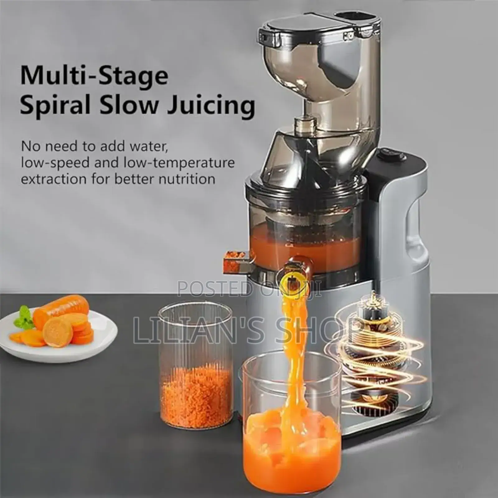 Raf Cold Press Multifunction Juicer