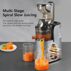 Raf Cold Press Multifunction Juicer