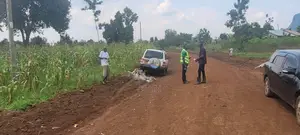 Prime Plots for Sale in Tororo Municipality
