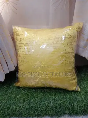 Designer's Decor Pillows/Cushions