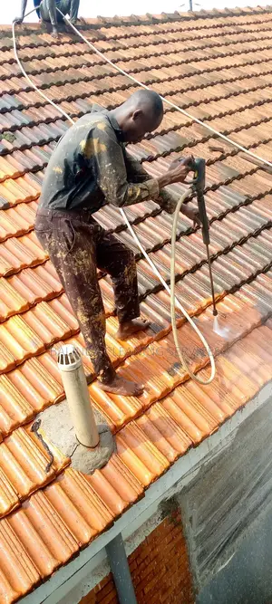 Roof Tile Cleaning