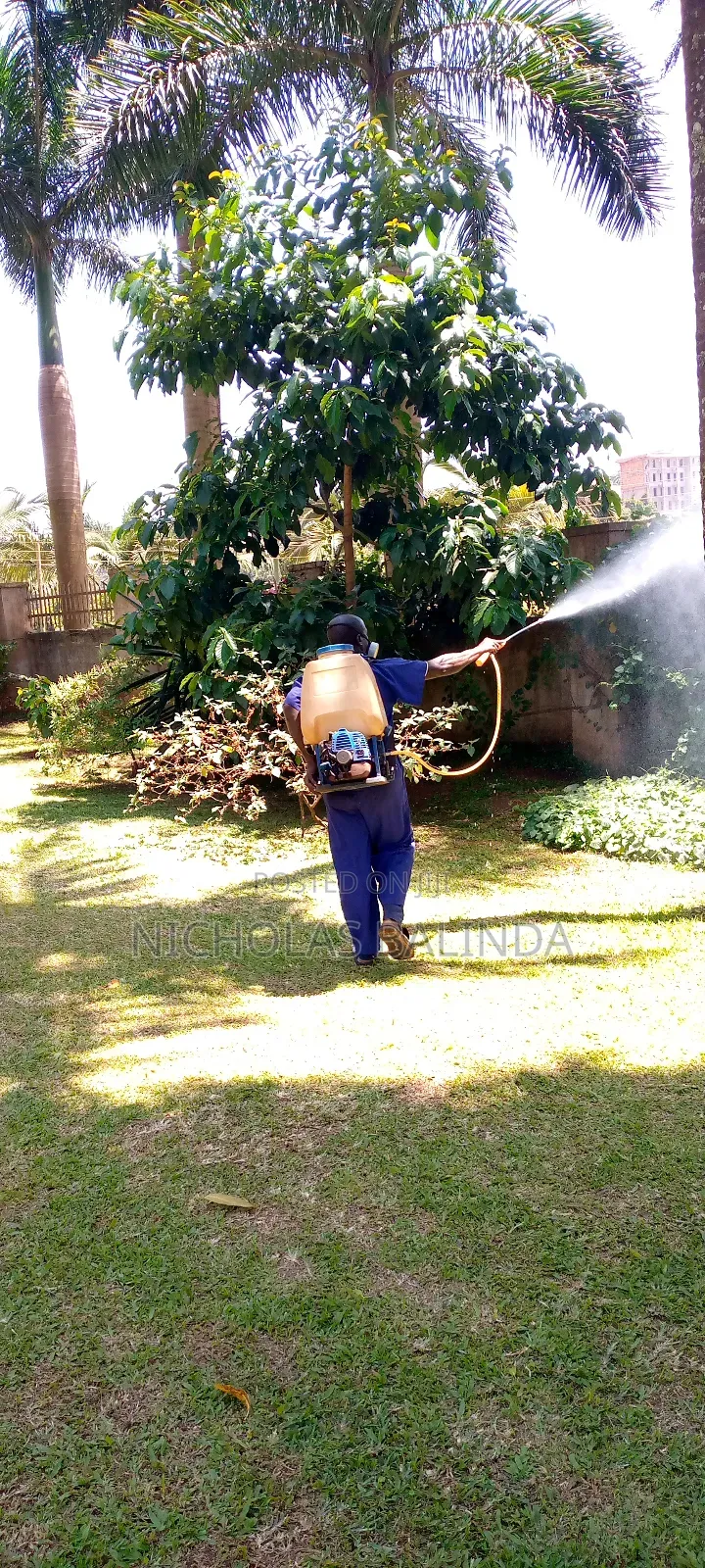 Fumigation Service