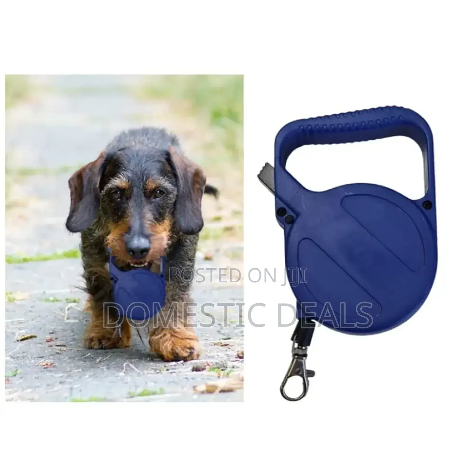 Retractable Dog Leash