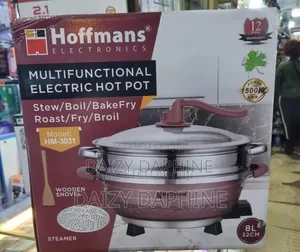 Multifunctional Steamer Electric Hot Pot