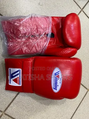 Winning Boxing Gloves
