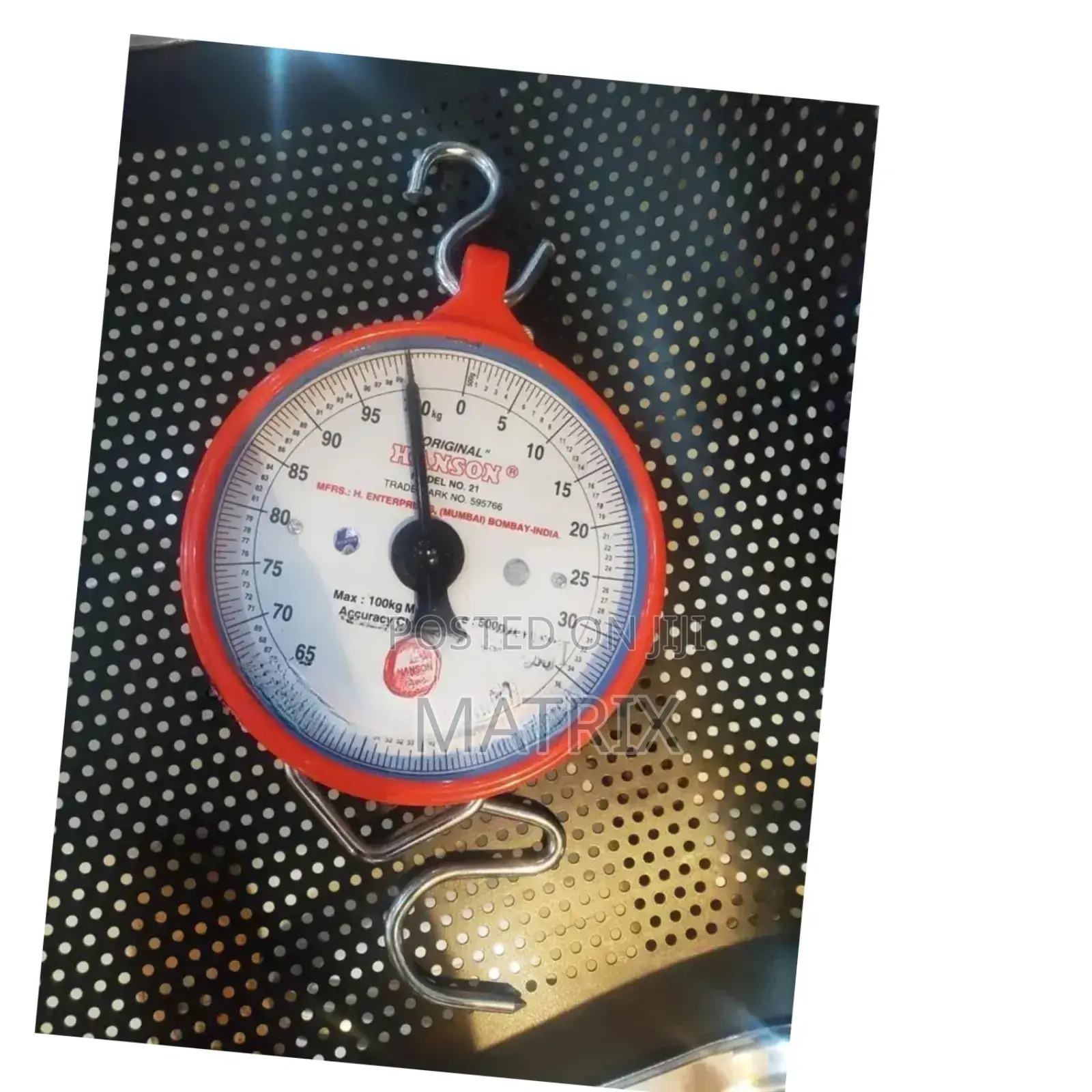 Hanson 100kg Hanging Weighing Scale