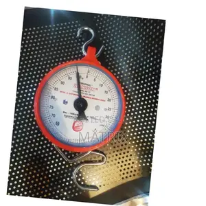 Hanson 100kg Hanging Weighing Scale