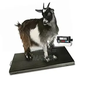 Farm Animal Platform Weighing Scales.