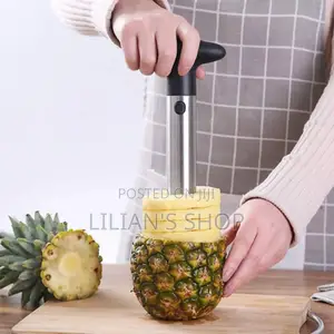Stainless Steel Pineapple Core Remover
