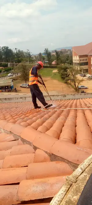 Roof Tile Cleaning
