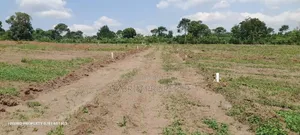 Prime Plots for Sale at Namayumba~Kyampisi Divine Estate V.