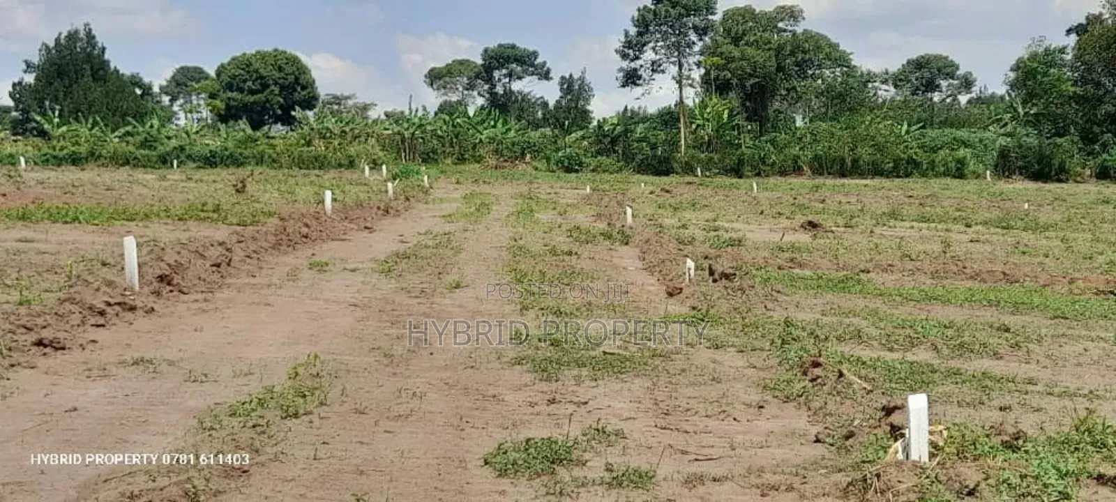 Prime Plots for Sale at Namayumba~Kyampisi Divine Estate V.