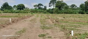 Prime Plots for Sale at Namayumba~Kyampisi Divine Estate V.