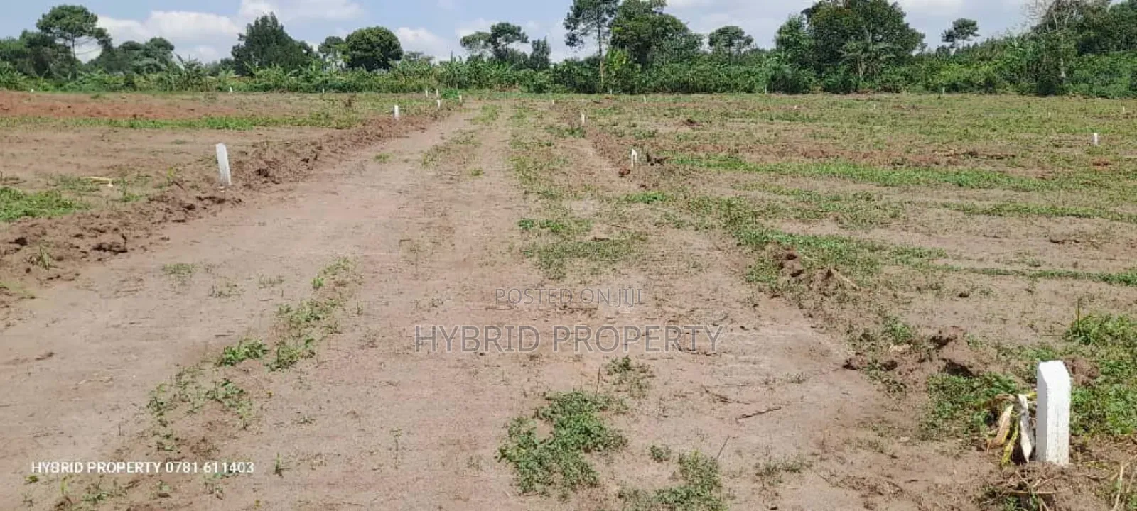 Prime Plots for Sale at Namayumba~Kyampisi Divine Estate V.