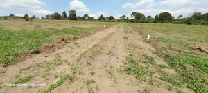 Prime Plots for Sale at Namayumba~Kyampisi Divine Estate V.