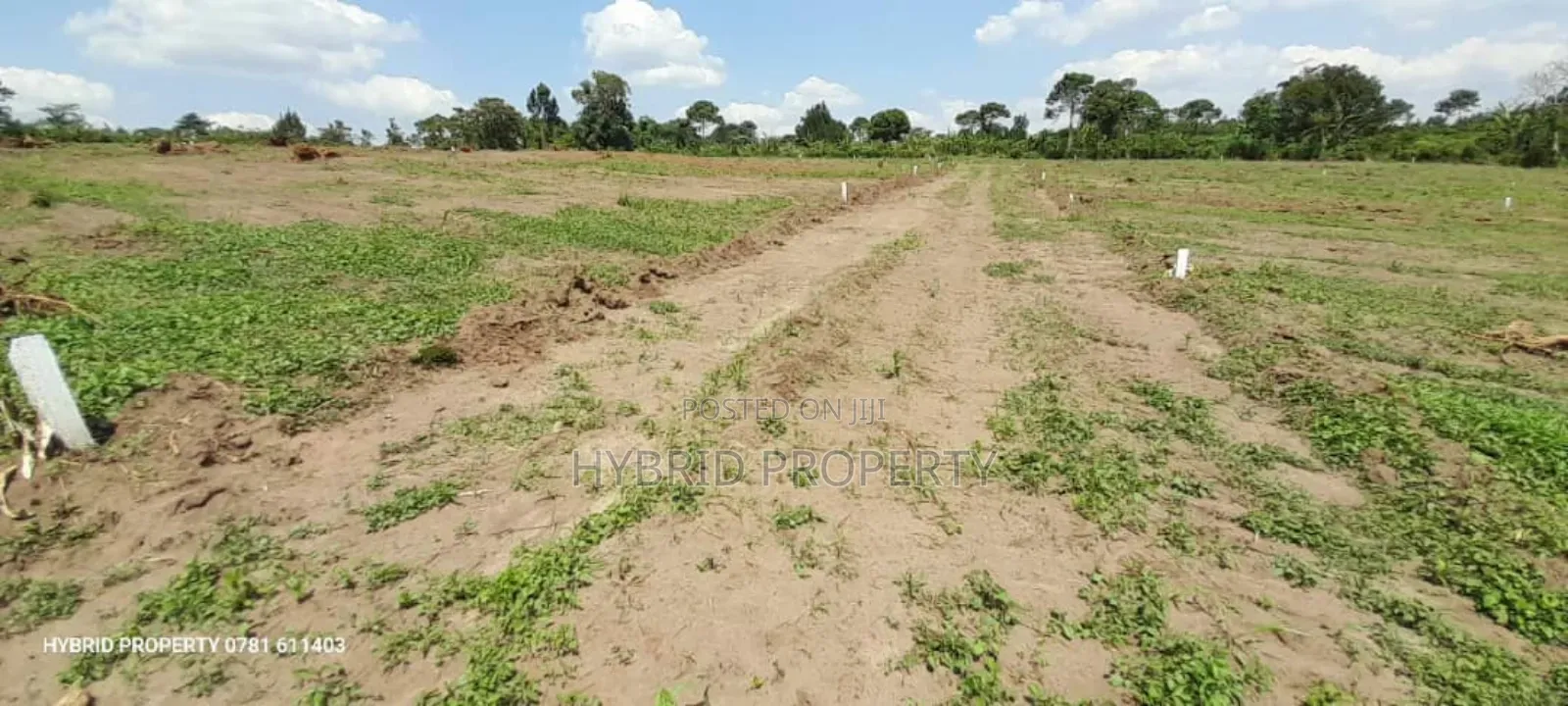 Prime Plots for Sale at Namayumba~Kyampisi Divine Estate V.