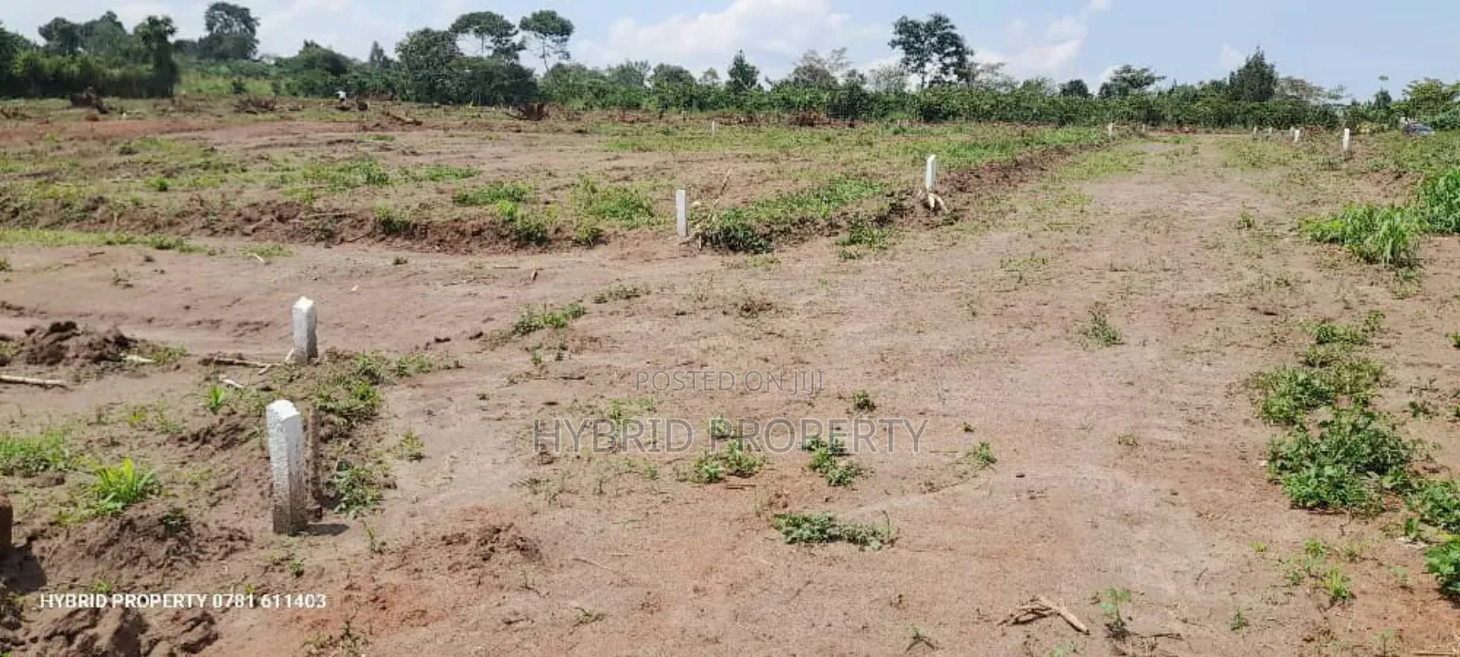 Prime Plots for Sale at Namayumba~Kyampisi Divine Estate V.