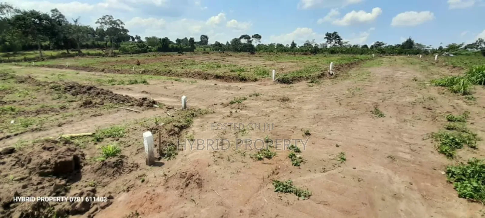 Prime Plots for Sale at Namayumba~Kyampisi Divine Estate V.