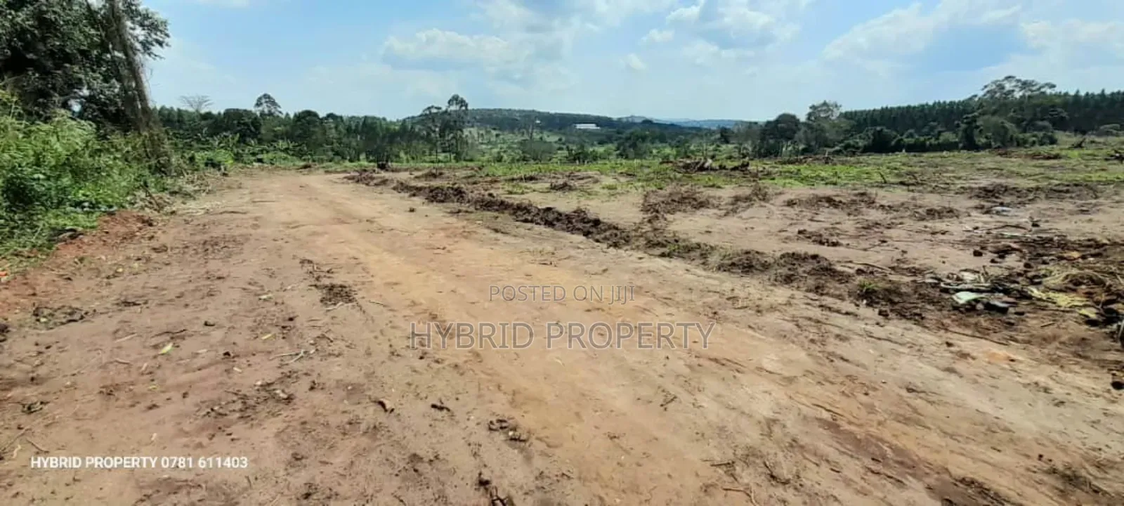 Prime Plots for Sale at Namayumba~Kyampisi Divine Estate V.