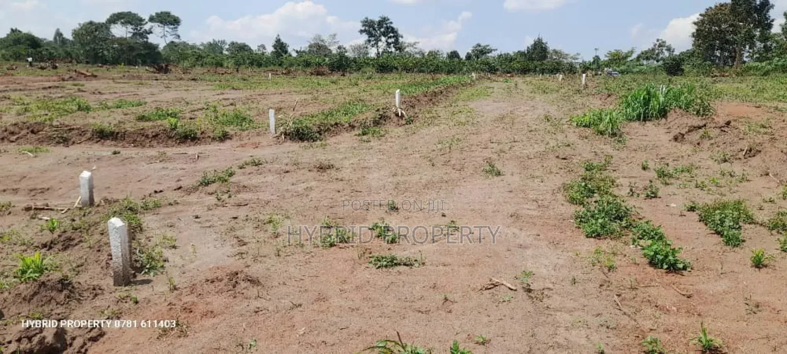 Prime Plots for Sale at Namayumba~Kyampisi Divine Estate V.